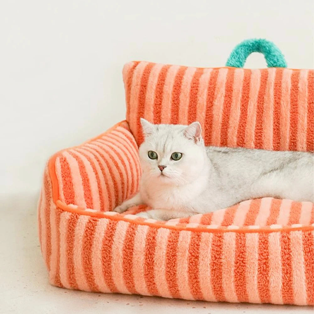 Summer Fun - Cats Bed Stripe - 2026 Design