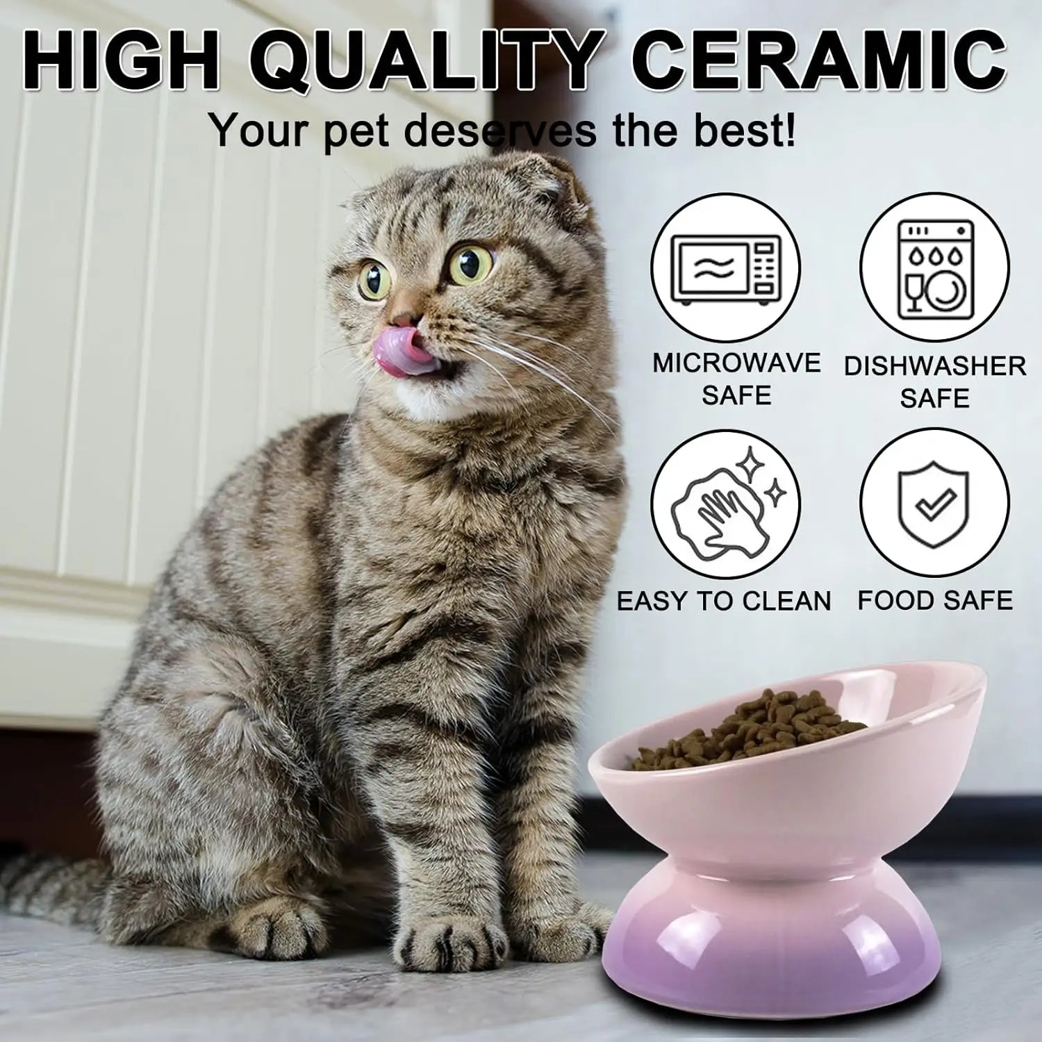 Gradient Mix bowl for Cats