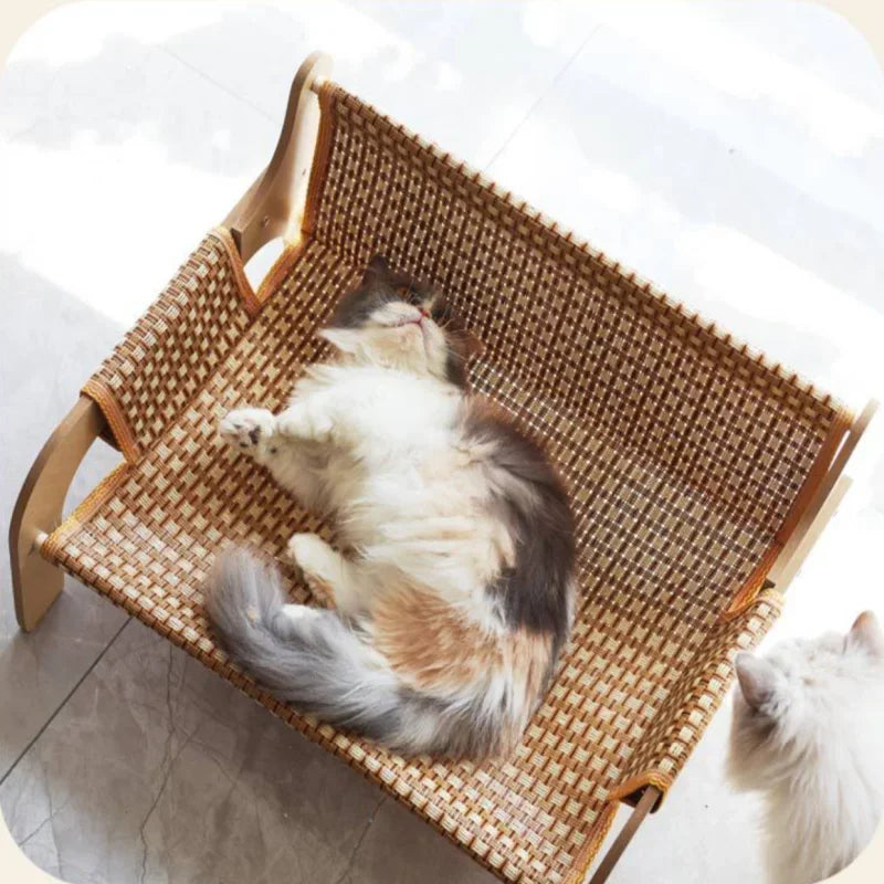 Minimal Melbourne Cat Summer Sofa Bed