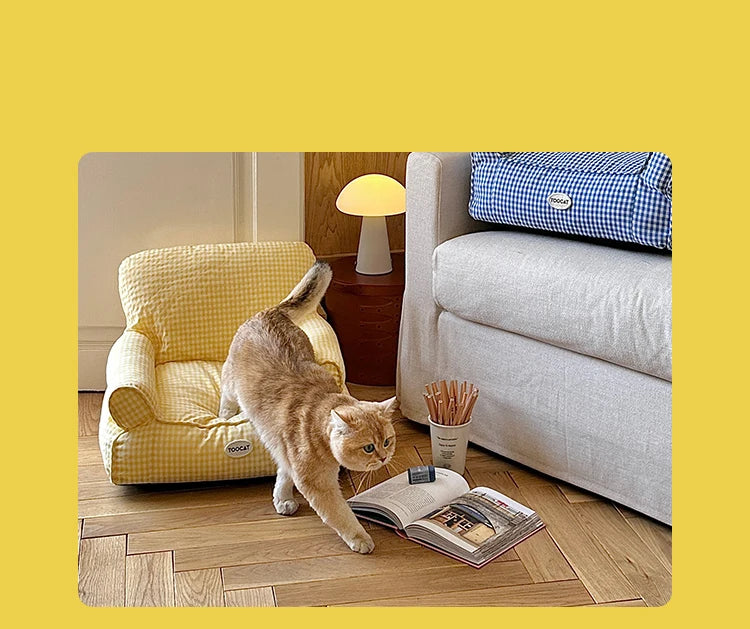 Blue and Yellow resting cat lounge - Luxe