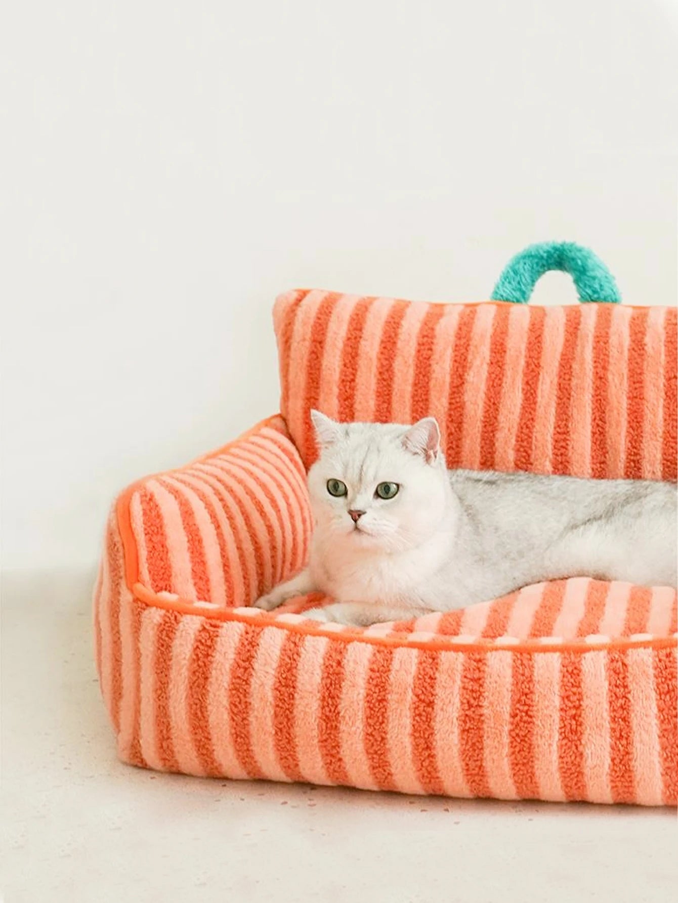 Summer Fun - Cats Bed Stripe - 2026 Design