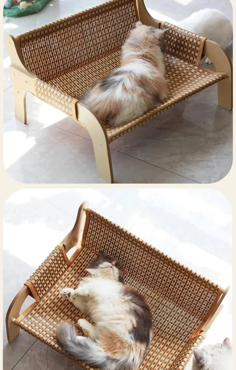 Minimal Melbourne Cat Summer Sofa Bed