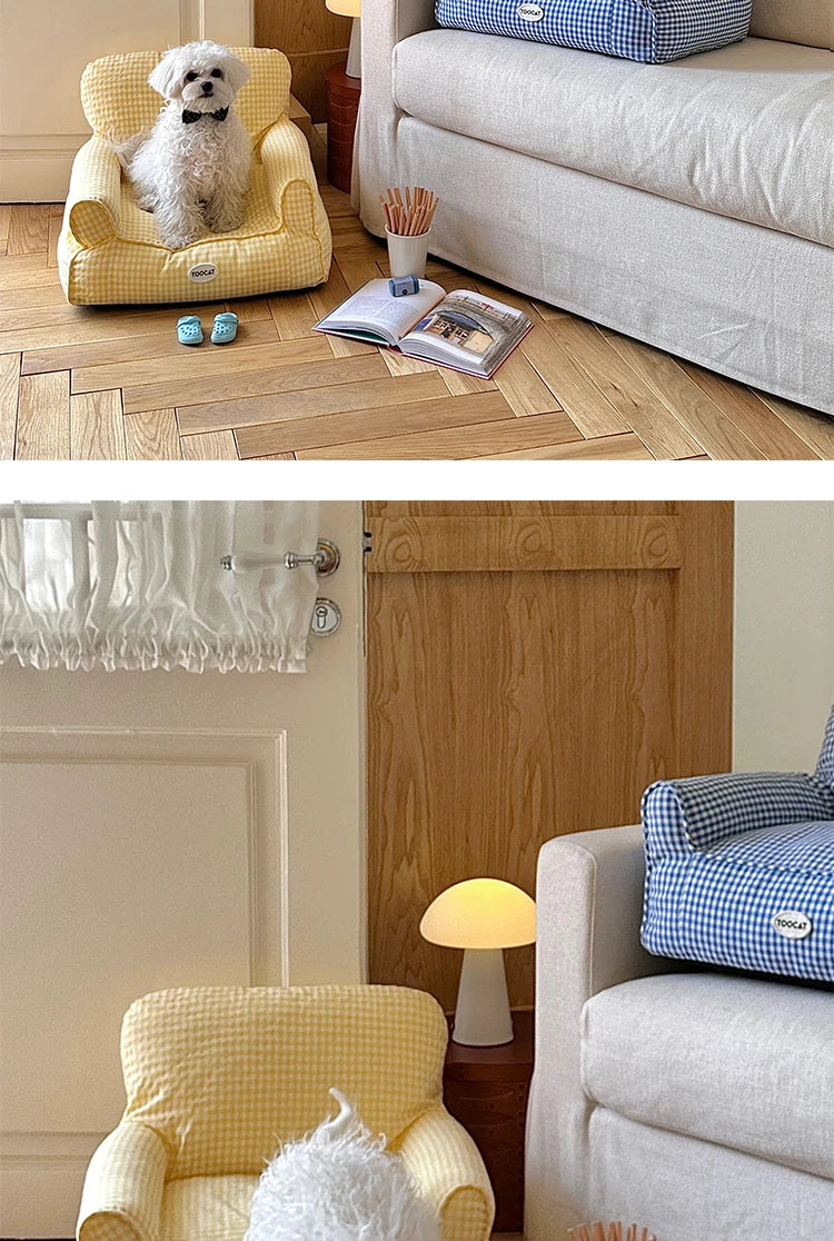 Blue and Yellow resting cat lounge - Luxe