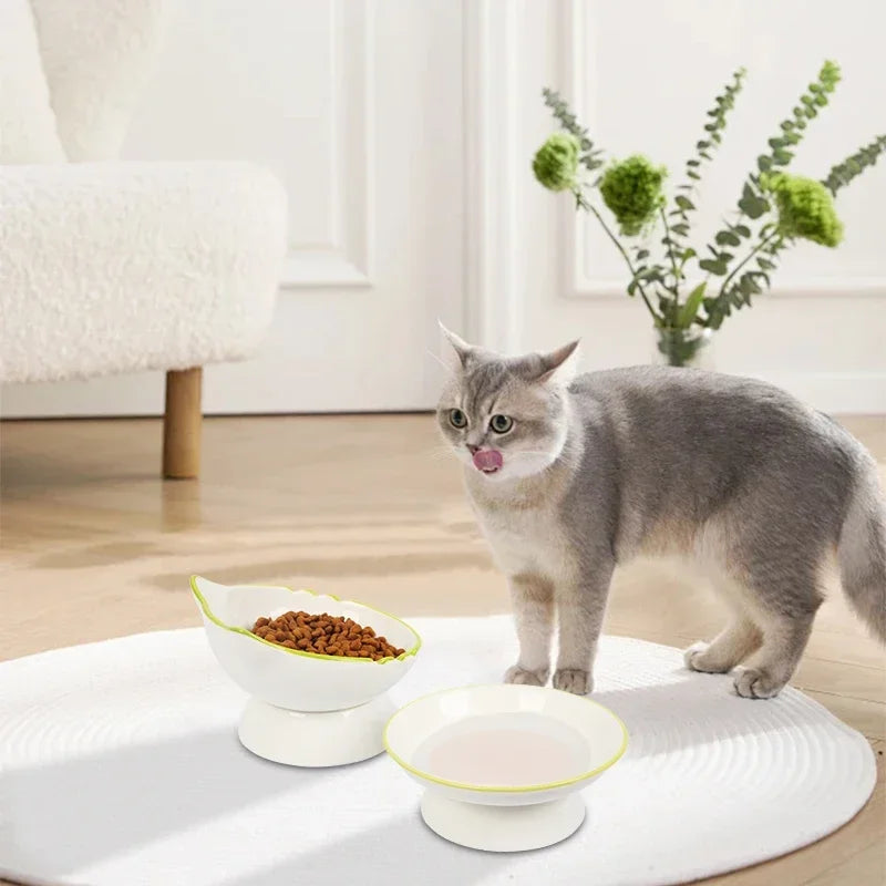 Clean Luxe Bowl for Cats