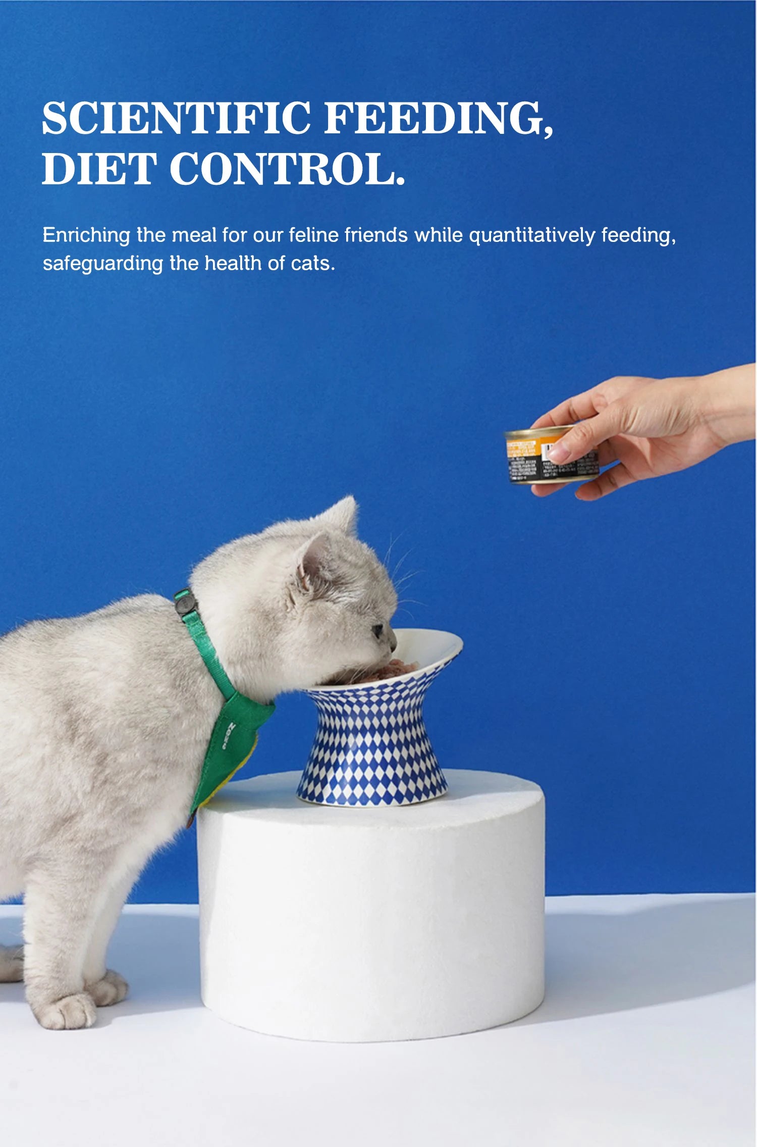 Trendy Nice Cat Bowls - Melbourne Look 2026