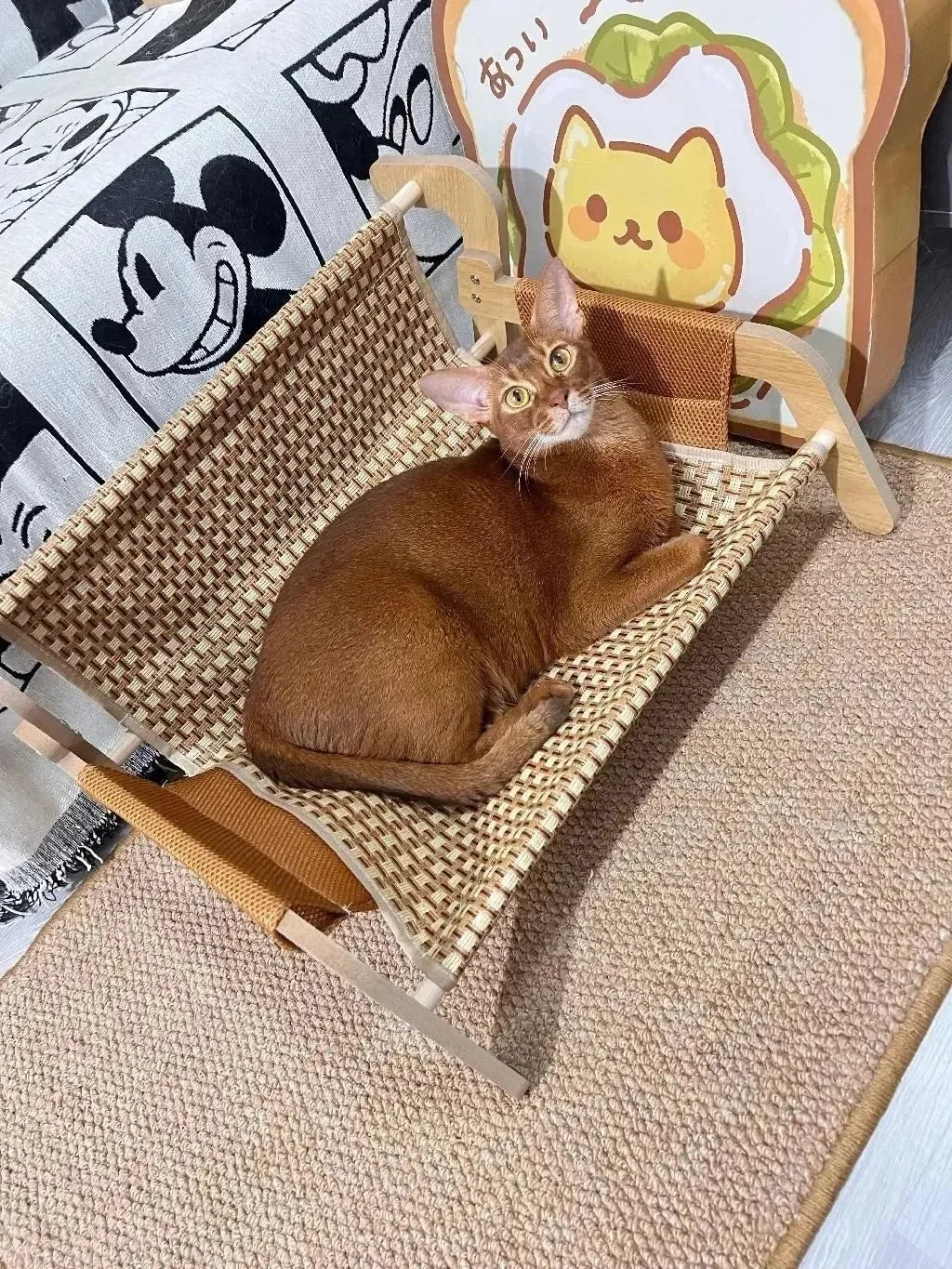 Minimal Melbourne Cat Summer Sofa Bed