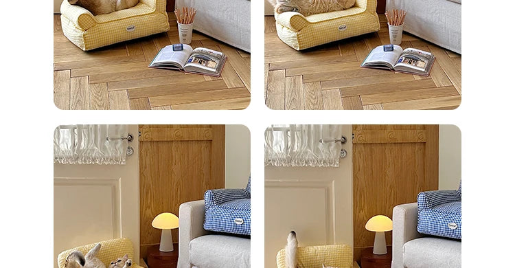 Blue and Yellow resting cat lounge - Luxe
