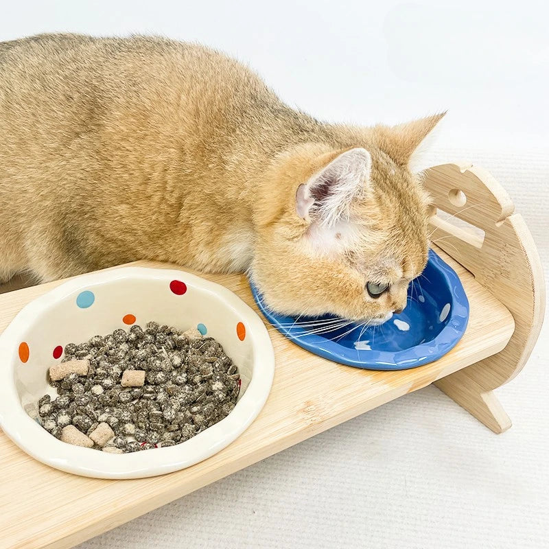 Beautiful Funny Designed Cat Bowls - Spot look