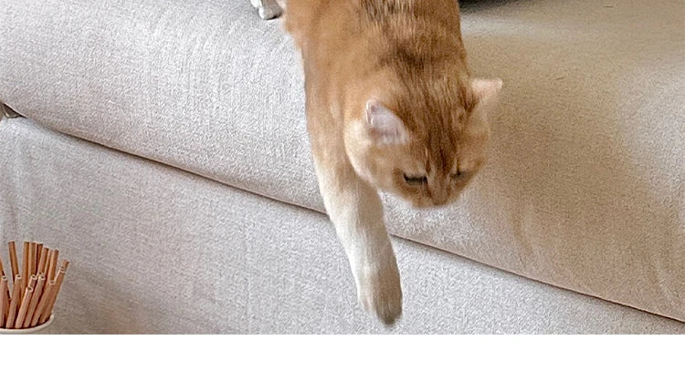 Blue and Yellow resting cat lounge - Luxe
