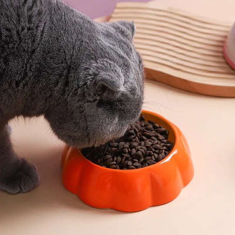 Fruity Zesty Bowls - Cats of Melbourne Special