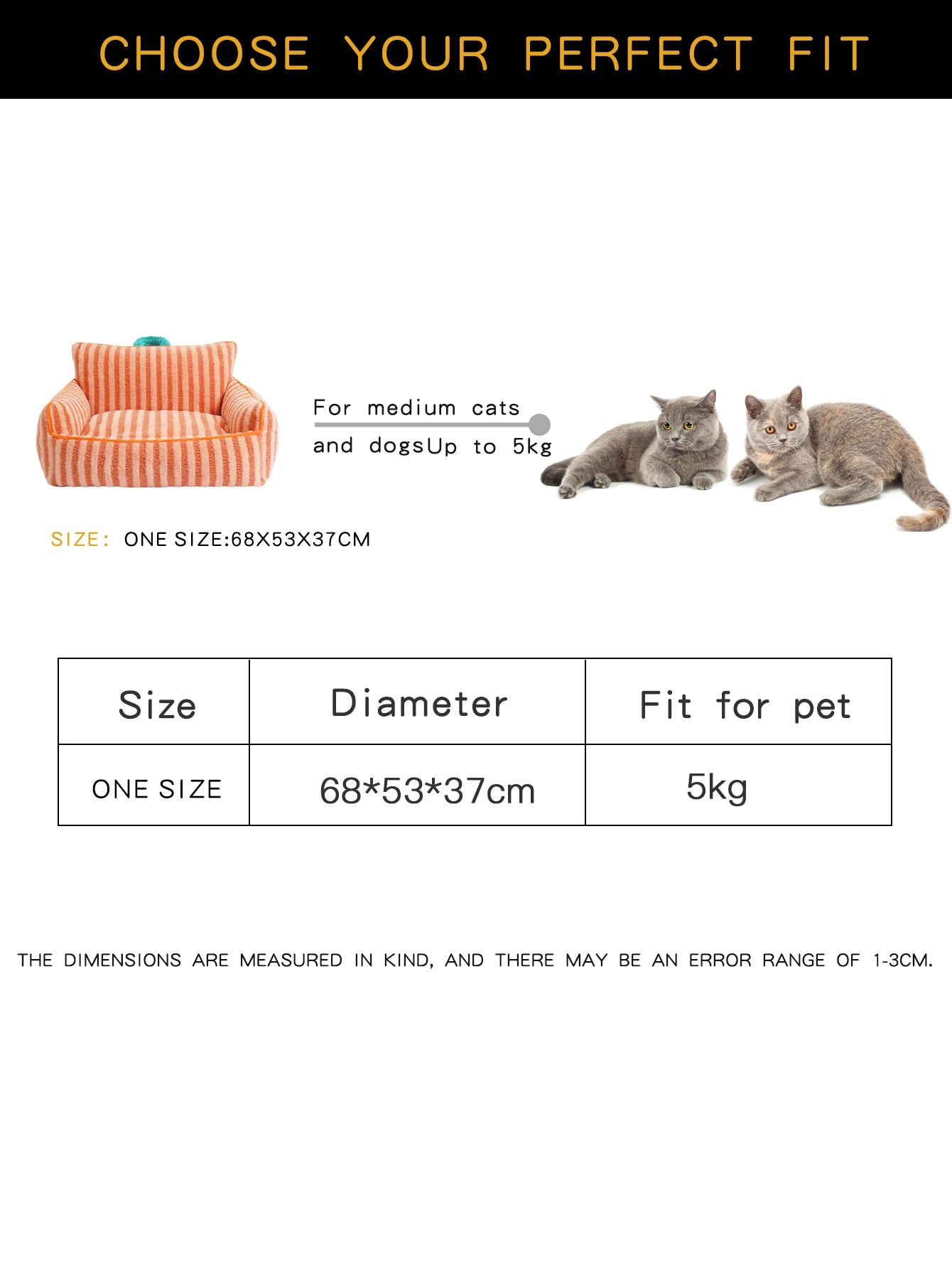Summer Fun - Cats Bed Stripe - 2026 Design